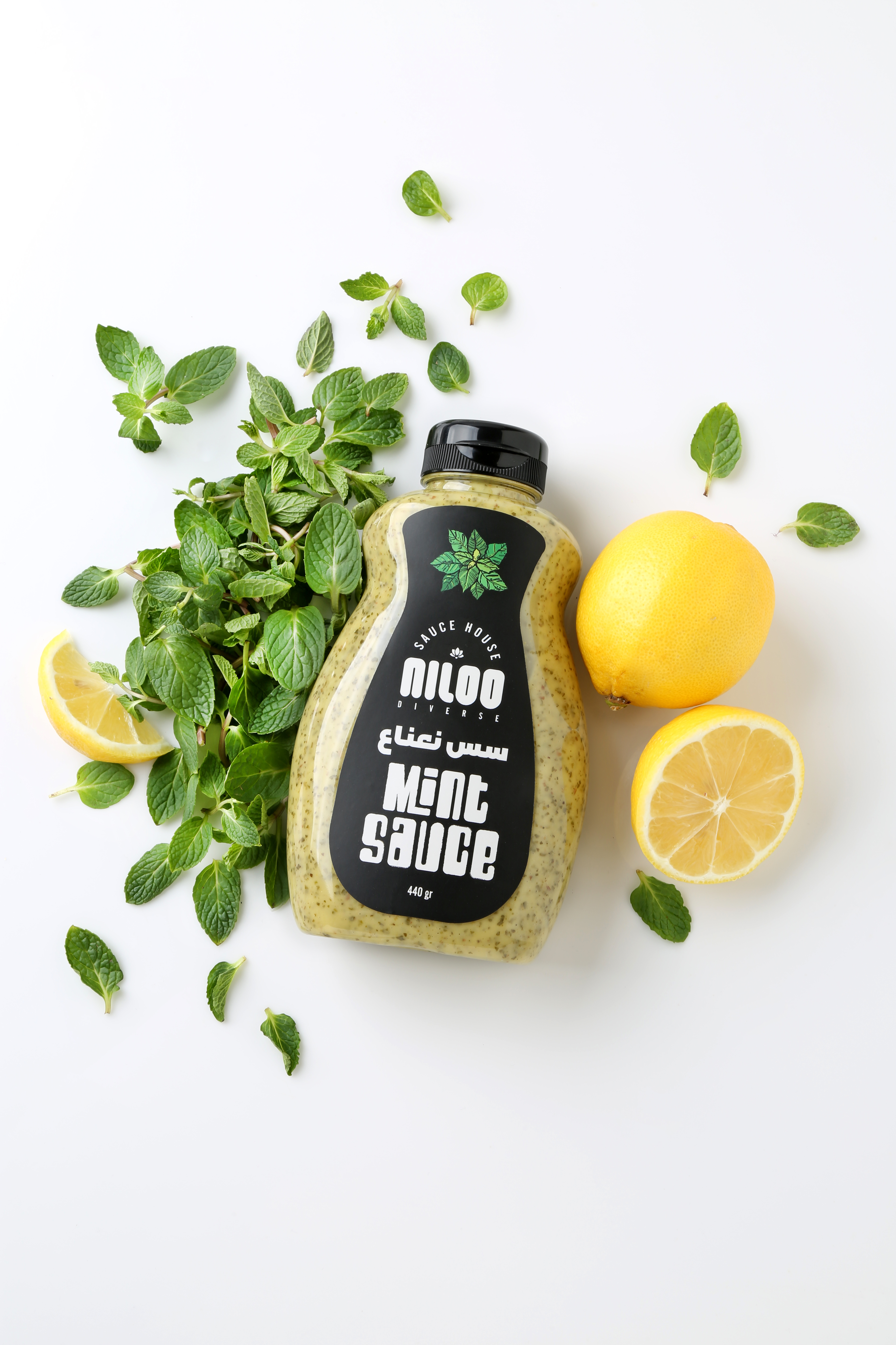  Nilo mint sauce